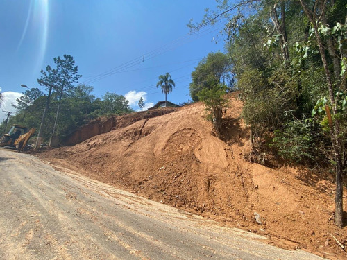 Imagem 1 de 11 de Terreno - Te00029 - 68702989