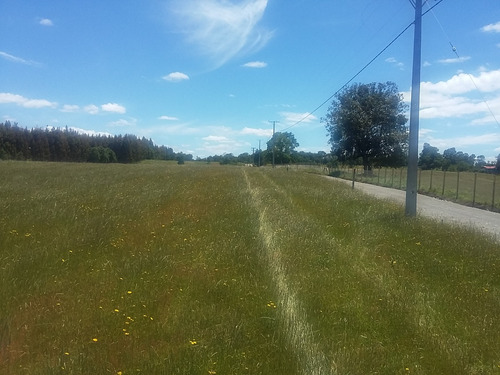 Parcela 5000 M2 Lago Ranco