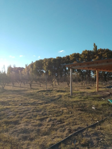 Imagen 4 de 19 de Vendo Finca De 6 Ha Y Fracción, Con Casa De De Gran Dimensión!!