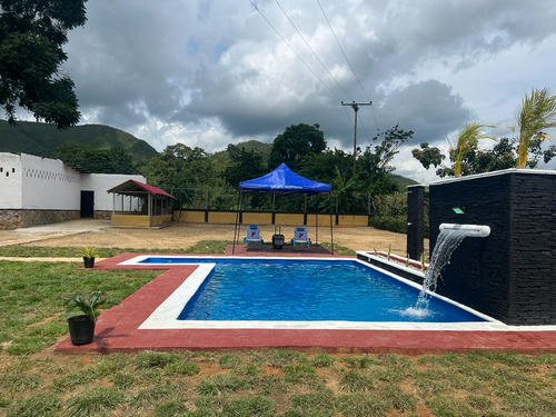 Finca En Bejuma Camino Verde