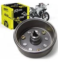 Comprar Magneto Volante Rotor  Italika Rt250 200z Rt200 Gp 15-22