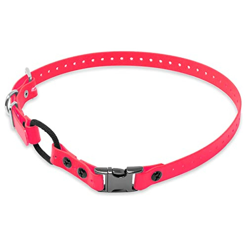 Educator Quick Snap Bungee Collar Para Perro, Biotano, Imper