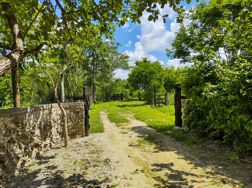 Venta De Rancho En Zona Ganadera De Yucatán, Con Cenotes, 453 Has