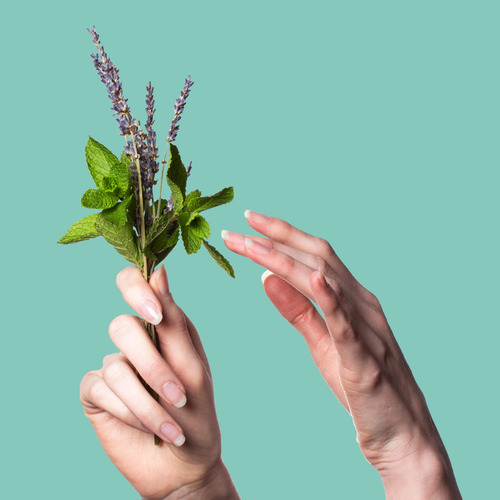 Espray Para Inodoro Before-you-go Menta Lavanda 60 Ml