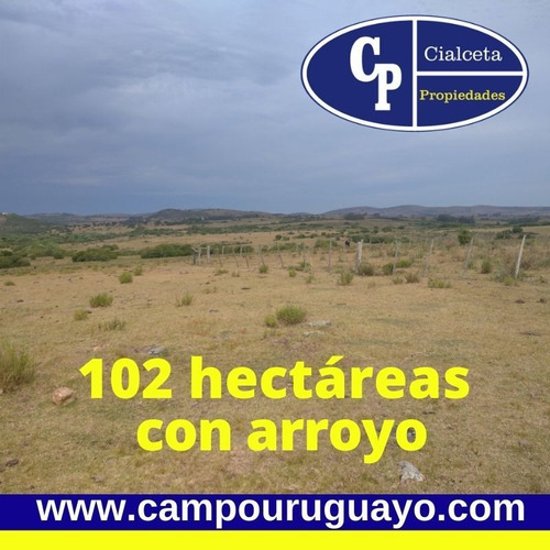 Campo Con Casa Y Arroyo, Buena Vista, Excelente Punto