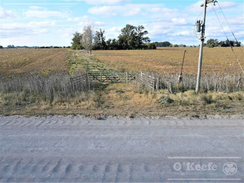 Imagen 7 de 18 de 33 Has En Venta - Chacra Agrícola Con Excelente Acceso