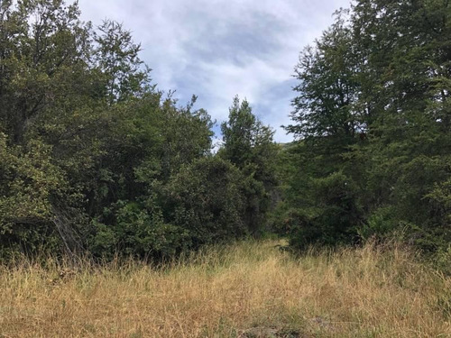 Imagen 6 de 7 de Oportunidad! Fabienne Edelberg Fe Propiedades Vende Fraccion Iv Excepcional Lote 3950 M2 Meliquina. Oportunidad!!