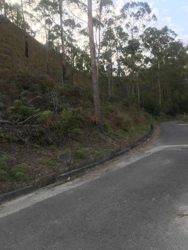Vendo Lindo Terreno Colinas De Carrizal Plano