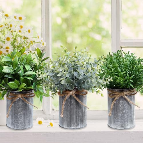 Paquete De 3 Mini Plantas Artificiales En Macetas Rústicas