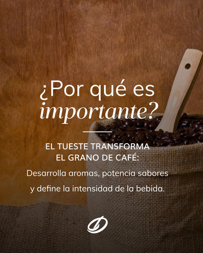 Café Verde Grano Altura Chiapas - 40 Kg