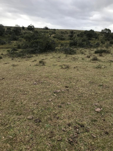 Imagen 5 de 9 de Buen Campo