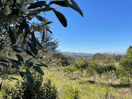 Venta De Parcelas, 5.000 Mts2, Con Agua Y Luz, En Algarrobo