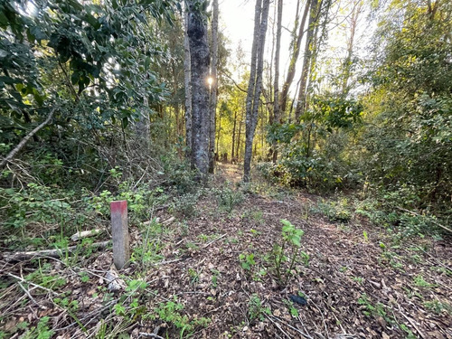 Parcela En Caburgua, Pucón