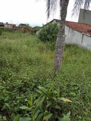 Imagem 4 de 5 de Terreno Murado No Jardim Palmeiras, Em Itanhaém 5935