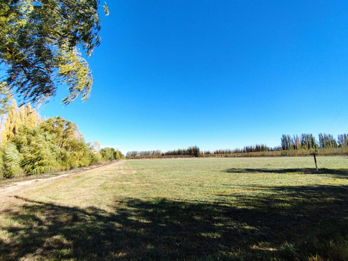 Venta De Chacra Con Casa En Allen, 6 Hectareas