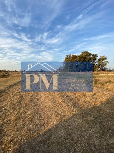 Terreno En Venta