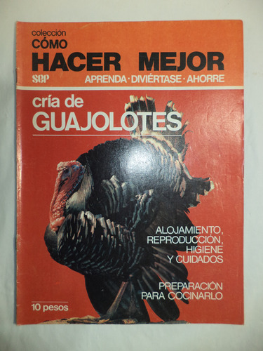 Cómo Hacer Mejor. Cría De Guajolotes