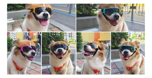 Lentes De Sol Para Perros Con Protección Uv Viento Viajes Amarillo Plastico