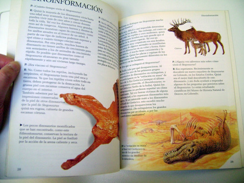 Dinoclub Larousse Stegosaurus Dinosaurios Para Niños Boedo (Usado)