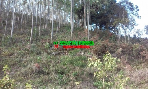 Imagem 1 de 1 de Fazenda - Sítio Em Paraibuna - Com Preço De Desapego - 1002