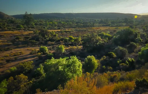 Se Vende Terreno De 5.000m2 A Sólo 15 Min. De Tongoy.