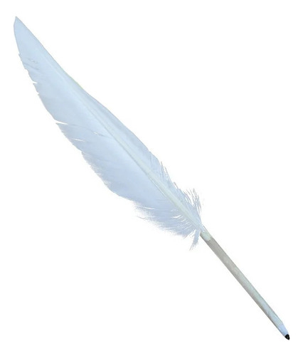 Caderno De Anime Death Note Inclui Caneta, Colar Ly E
