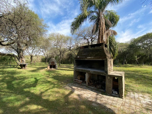 Arriendo /alquilo En Colonia Celina Entre Rios , Sobre El Rio 5 1/2 Hectareas
