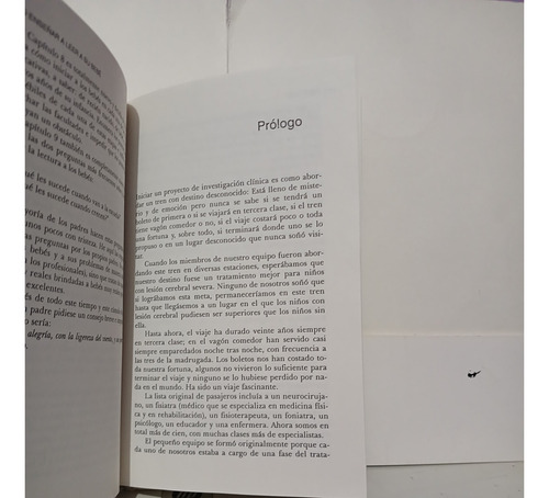 Comó Enseñar A Leer A Su Bebé /glenn Doman (Usado)