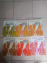 Comprar Curso Programado De Anatomía Y Fisiología ( 6 Libros ) - R.