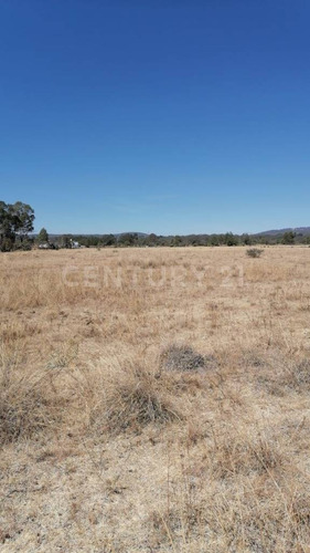 Terreno En Venta, En Poblado Palos Altos, Soyaniquilpan Jilotepec, Edo. Méx.