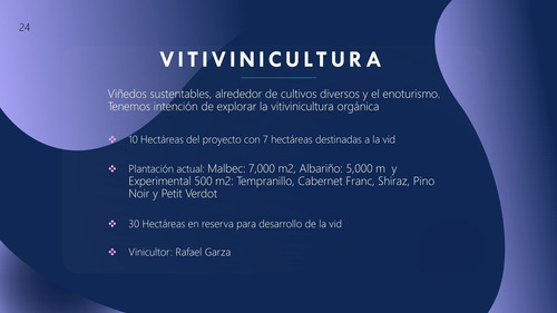 Venta De Terrenos Con Corredor Vinícola En Bernal
