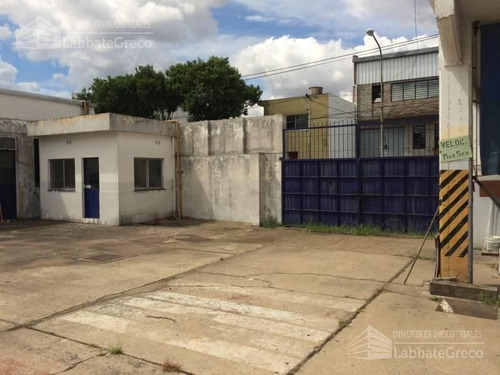 Imagen 13 de 14 de Depósito - Villa Martelli