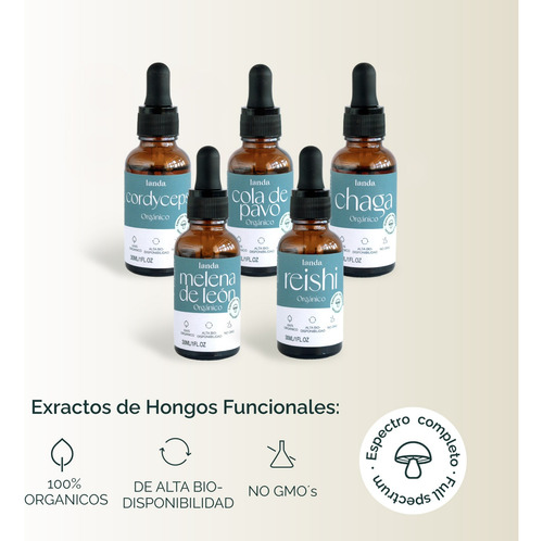Extracto De Hongo Cordyceps (cordyceps Militaris)