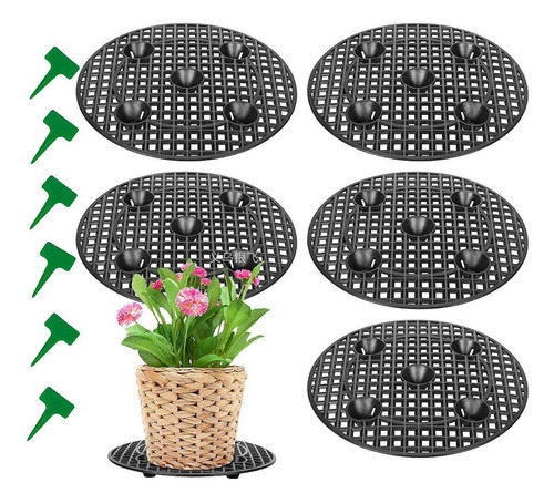 6x Nivel De Planta Pot De Elevación De Ascensor 30cmx2cm