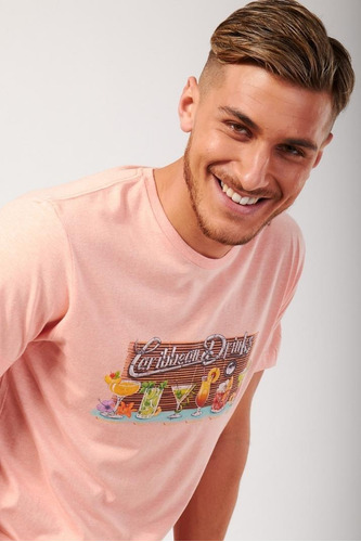 Imagen 3 de 5 de Remera Estampada M/c 59g Kevingston