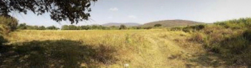 Imagen 2 de 14 de Venta De Terrenos En Ticuman Morelos