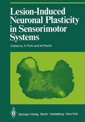 Libro Lesion-induced Neuronal Plasticity In Sensorimotor ...