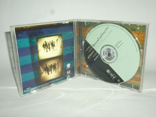 Cd Brooklyn Funk Essentials Cool And Steady And Easy Br 1995 (Usado)