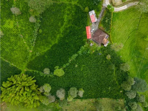 En Venta Finca Cafetera Certificada En Filandia Quindio