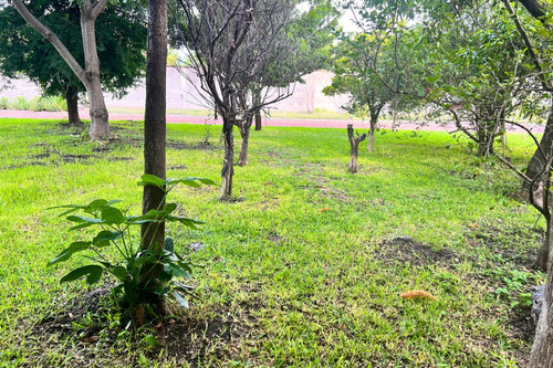 Terreno De 2,204 M² En Chiconcuac, Xochitepec, Morelos | Con Alberca Y Explanada Para Eventos