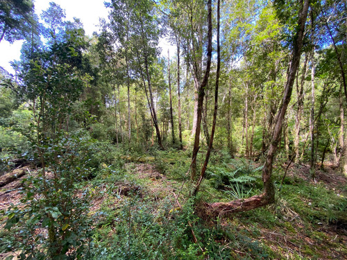 Venta De Parcela En Sendero Tres Puentes (70073)