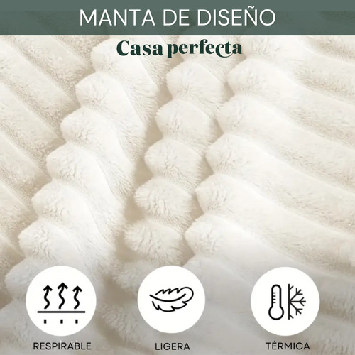 Manta Invierno Abrigada Cubre Cama Casa Perfecta Beige