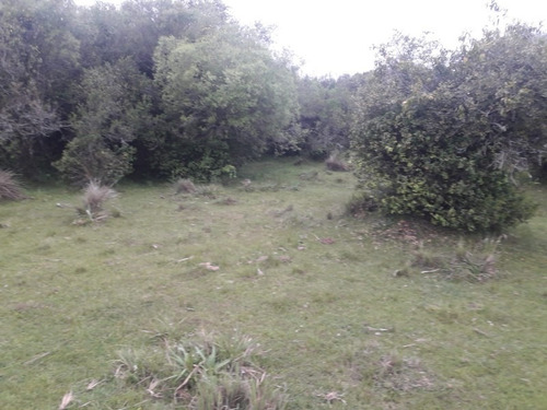 Campo De 47 Has En Paraje Los Caracoles - Consulte !!!!!- Ref: 1359