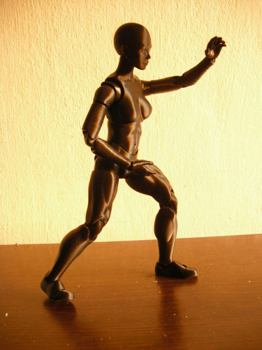Imagen 5 de 9 de Muñeco Maniqui Femenino Articulado Body Chan 24 Cm Dibujo 3d