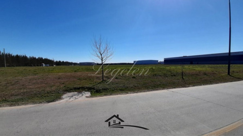 Imagen 2 de 7 de Lote Industrial Dentro Del Polo Ezeiza