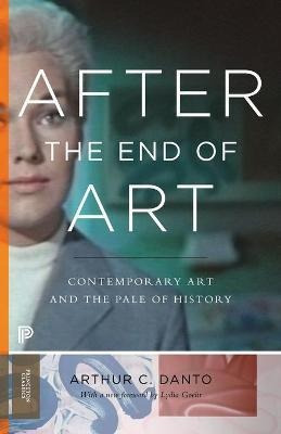 Libro After The End Of Art : Contemporary Art And The Pal...