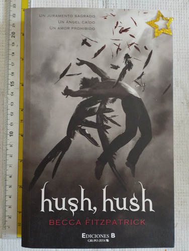 Libro Hush, Hush Becca Fitzpatrick V (Usado)