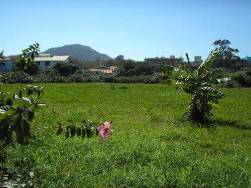 Imagem 12 de 15 de Terreno No Bairro Ingleses Em Florianópolis Sc - 5780