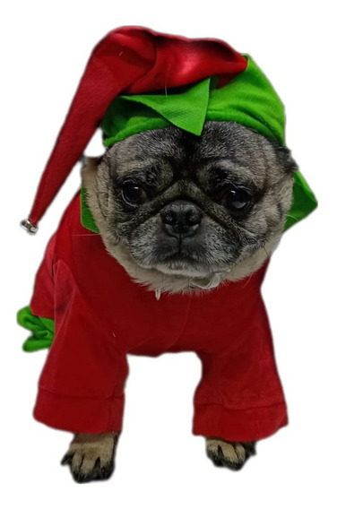 Disfraz De Mascota De Apple, Sudadera Con Capucha Para Perro De Navidad Para Pitbull, Halloween, Fruta, Cosplay Para Fiestas, Eventos Especiales, | Disfraz De Mascota De Apple, Sudadera Con Capucha Para Perro De Navidad Para Pitbull, Halloween, Fruta, Cosplay Para Fiestas, Eventos Especiales, |