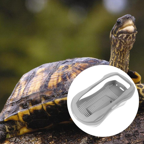 Caja De Alimentación De Acuario De Tortuga Hábitat De Gris